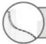 SANUS SOA-AVS1 - STEP 1C Attach the Wall Plate to the Wall - 1
