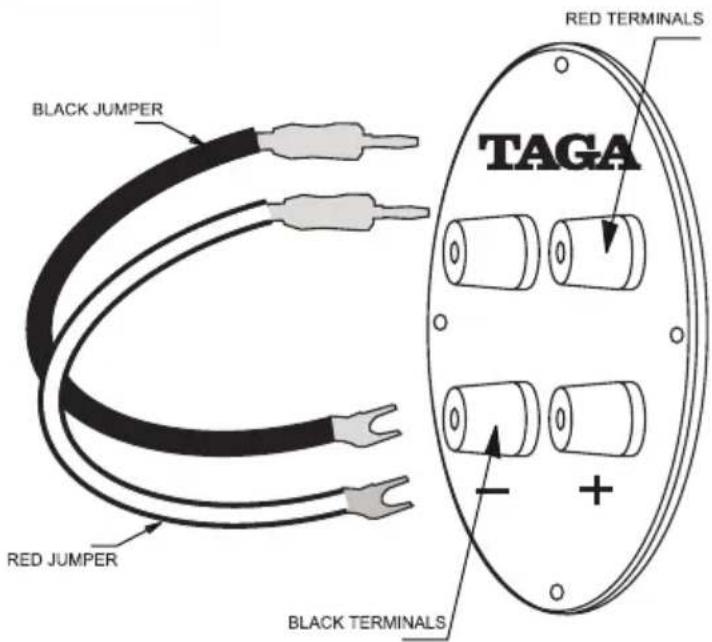 Taga Harmony Azure F-100 v.2 - Speaker wire jumpers - 1