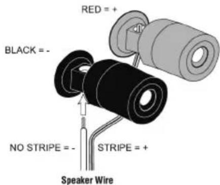 RED = + BLACK = - NO STRIPE = - STRIPE = + Speaker Wire