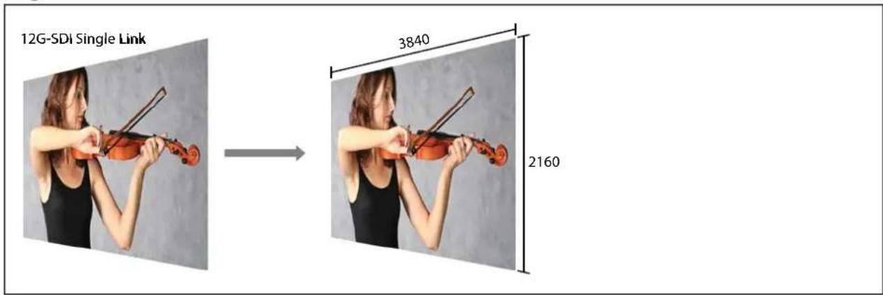 Postium OBM-U31IP - Various 4K/12G Display Modes - 1