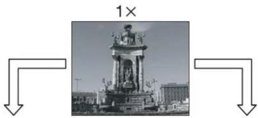 1×