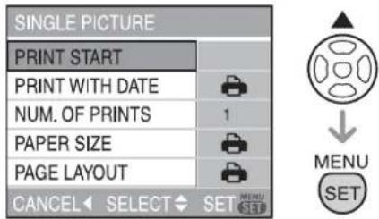 SINGLE PICTURE PRINT START PRINT WITH DATE NUM. OF PRINTS PAPER SIZE PAGE LAYOUT CANCEL SELECT SET MENU MENU SET