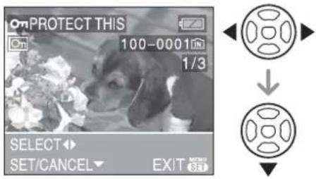 PROTECT THIS 100-0001 1/3 SELECT SET/CANCEL EXIT