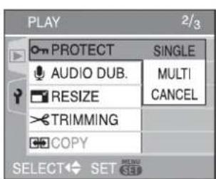 PLAY 2/3 PROTECT SINGLE AUDIO DUB. MULTI RESIZE CANCEL TRIMMING COPY SELECT SET
