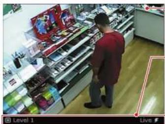 CANON 4075B003AA - Video Window - 1