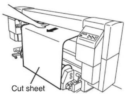 Cut sheet