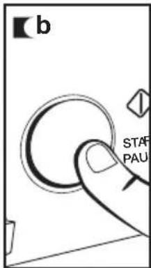 b STAF PAU