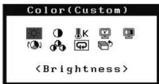 EIZO S2232WE-GY - Color Adjustment - 1