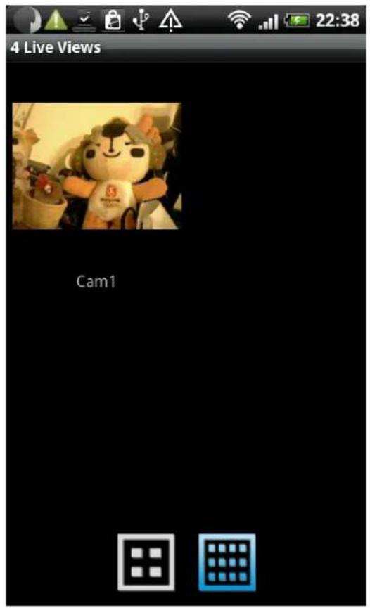 4 Live Views Cam1