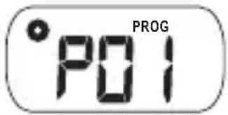 °PO1 PROG