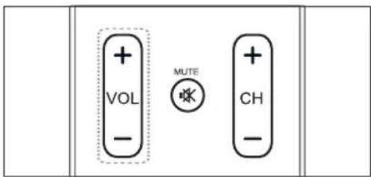 + VOL - MUTE * + CH -