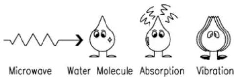 Microwave Water Molecule Absorption Vibration