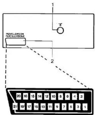SHARP DV5407S - 21-pin Euro-SCART - 1