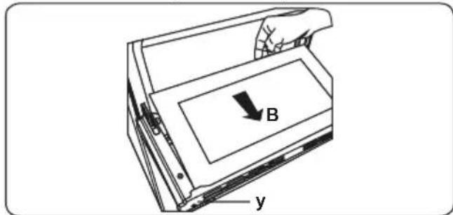 B y
