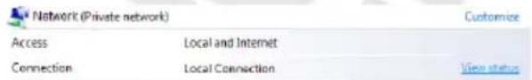 Network (Private network) Access Local and Internet Connection Local Connection Customize View status