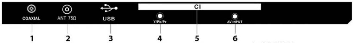 Manta LED1503 - FRONT, BACK, CONNECTIONS OF LED - 2