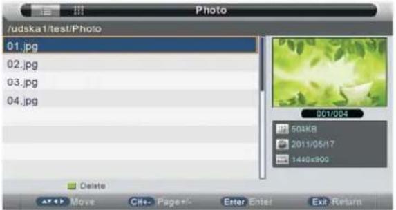 Manta LED1503 - Photo Manager - 1