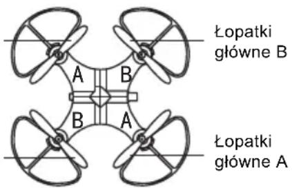 Łopatki główne B Łopatki główne A A B B A