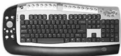 Manta Hornet MM202 - Euro Office XP - 1