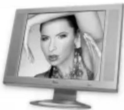 Manta Gamester MM253 - LCD Monitor 1703 with TV - 1