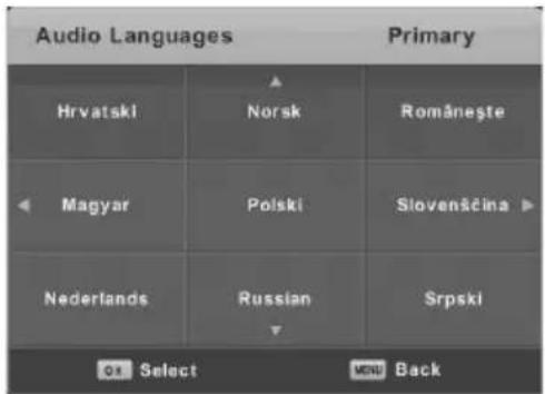 Vivax TV-40LE78T2S2 - Audio Languages (Audio Jezici) - 1