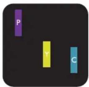 P Y C
