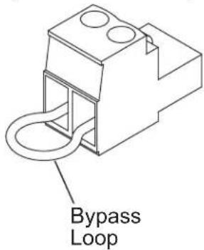 Bypass Loop