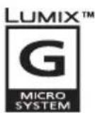 PANASONIC Lumix H-FS0452 - 1