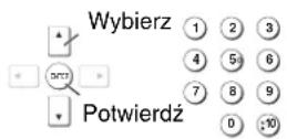 PANASONIC DVD-S295E - Używanie menu ekranowych - 3