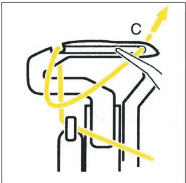 C