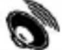 myPhone HAMMER Active 2 - Package content - 3