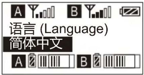 Comica CVM-WM200C - 系统语言选择 - 2