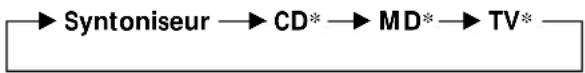 graph LR A["Syntoniseur"] --> B["CD*"] B --> C["MD*"] C --> D["TV*"]
