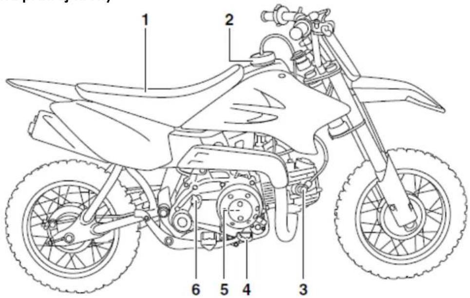 YAMAHA TTR50 (2018) - Widok z prawej strony - 1