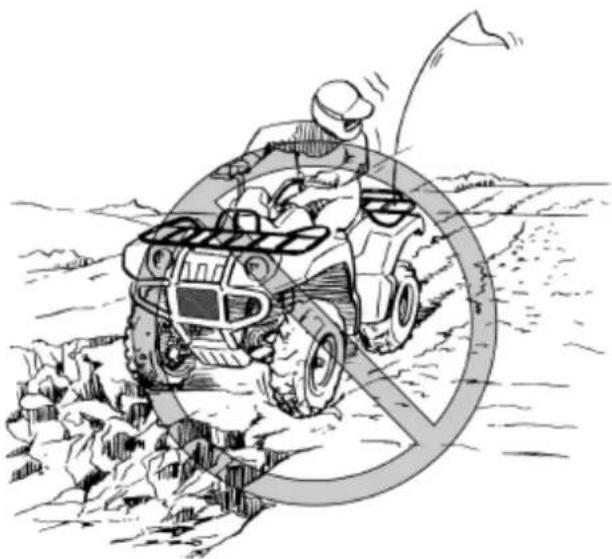 YAMAHA Kodiak 700 (2015) - OSTRZEŻENIE: - 1