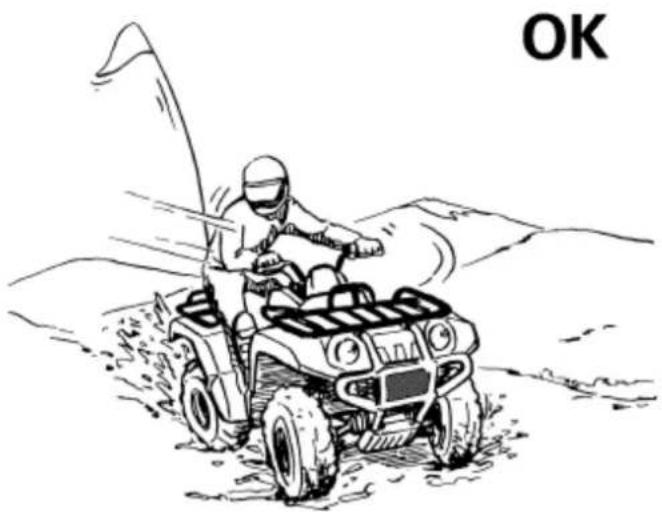 YAMAHA Kodiak 700 (2015) - OSTRZEŻENIE: - 1