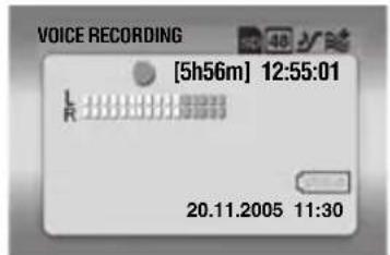 VOICE RECORDING [5h56m] 12:55:01 L R 20.11.2005 11:30