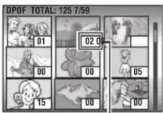 DPOF TOTAL: 125 7/59 01 02 0 00 00 05 15 00 00