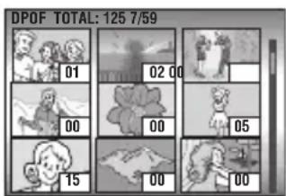 DPOF TOTAL: 125 7/59 01 02 00 00 00 05 15 00 00