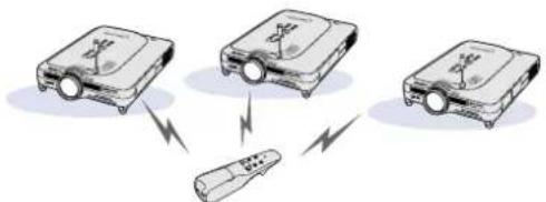SHARP PG-M25X - Multi-Projector Control - 2