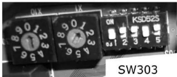 SW303