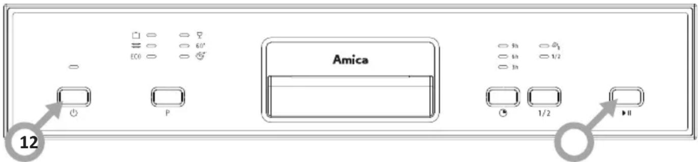 Amica 12