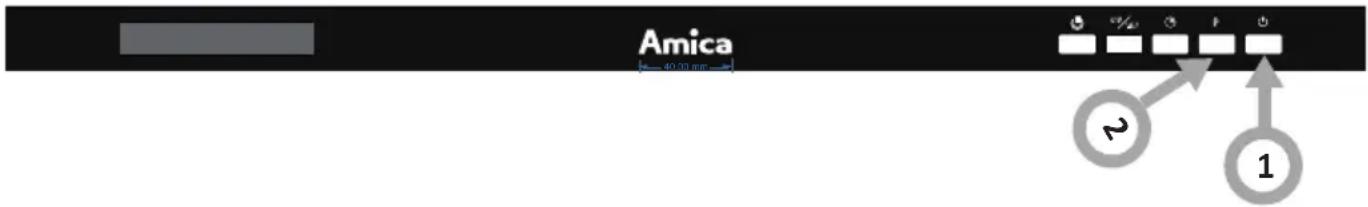 Amica 2 1
