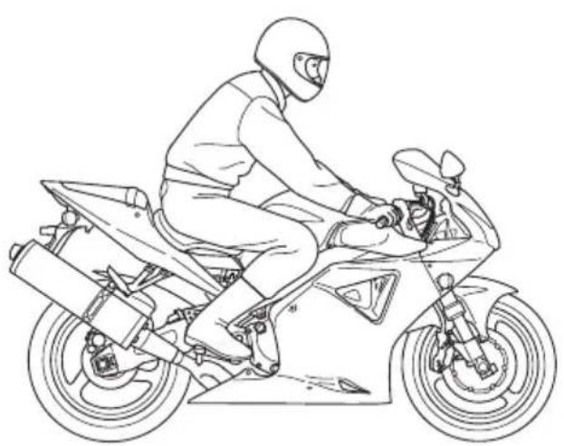 Honda Fireblade CBR954RR (2002) - 警告 - 2