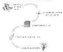 NETGEAR FA311 - 4