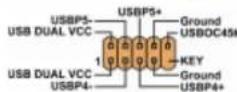 ECS PF21 Extreme - Battery - 10
