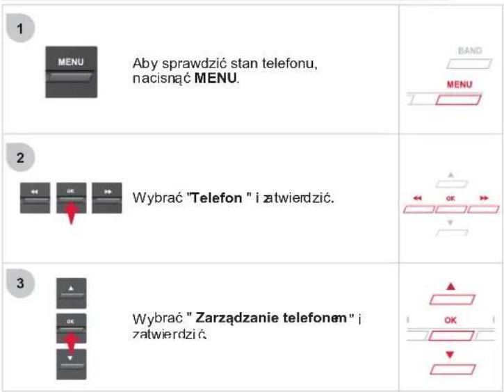 CITROEN DS5 (2011.5) - STAN TELEFONU - 1