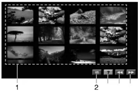 Grid of black-and-white nature photos showing landscapes and trees, framed within a filmstrip border (no text or symbols)
