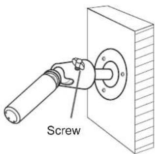 Screw