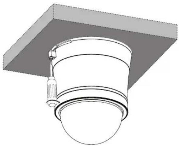 LG LT923P - CAUTION - 4